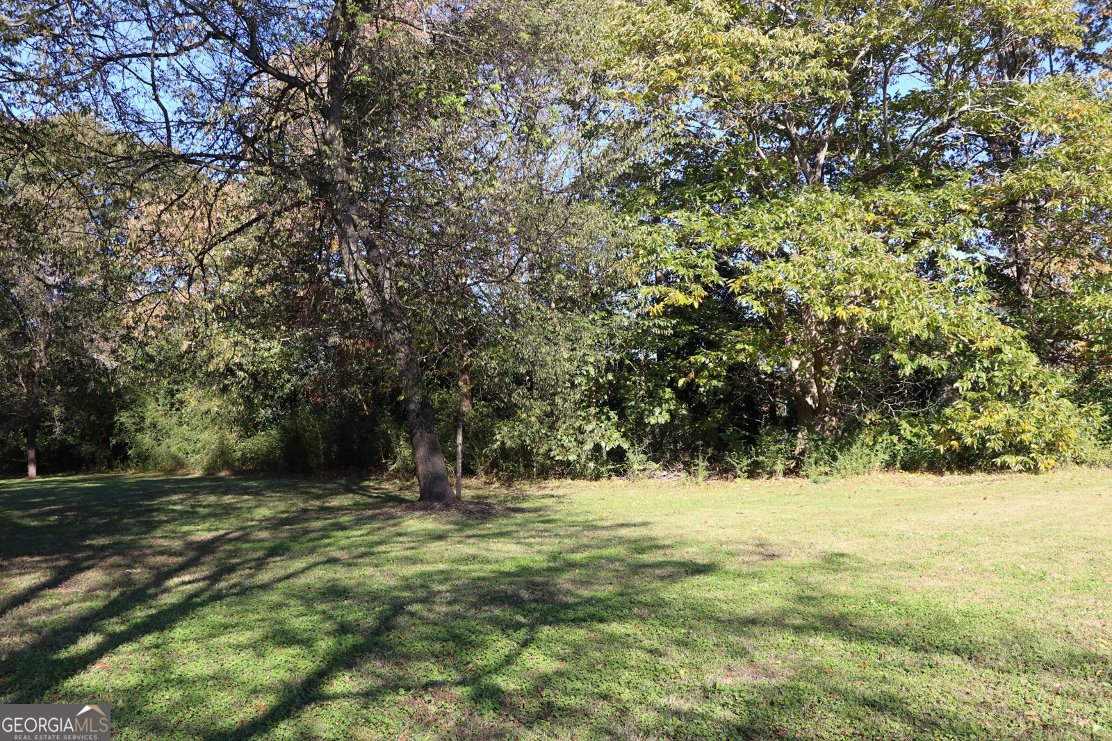 441 Lyerly Dam Road Lyerly - 12