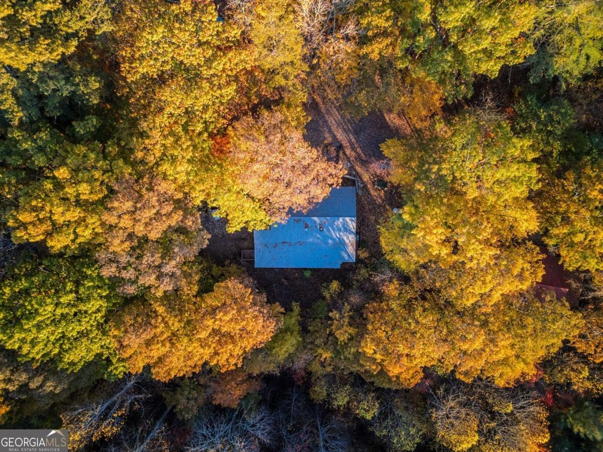 210 Overbend Trail Blue Ridge - 3