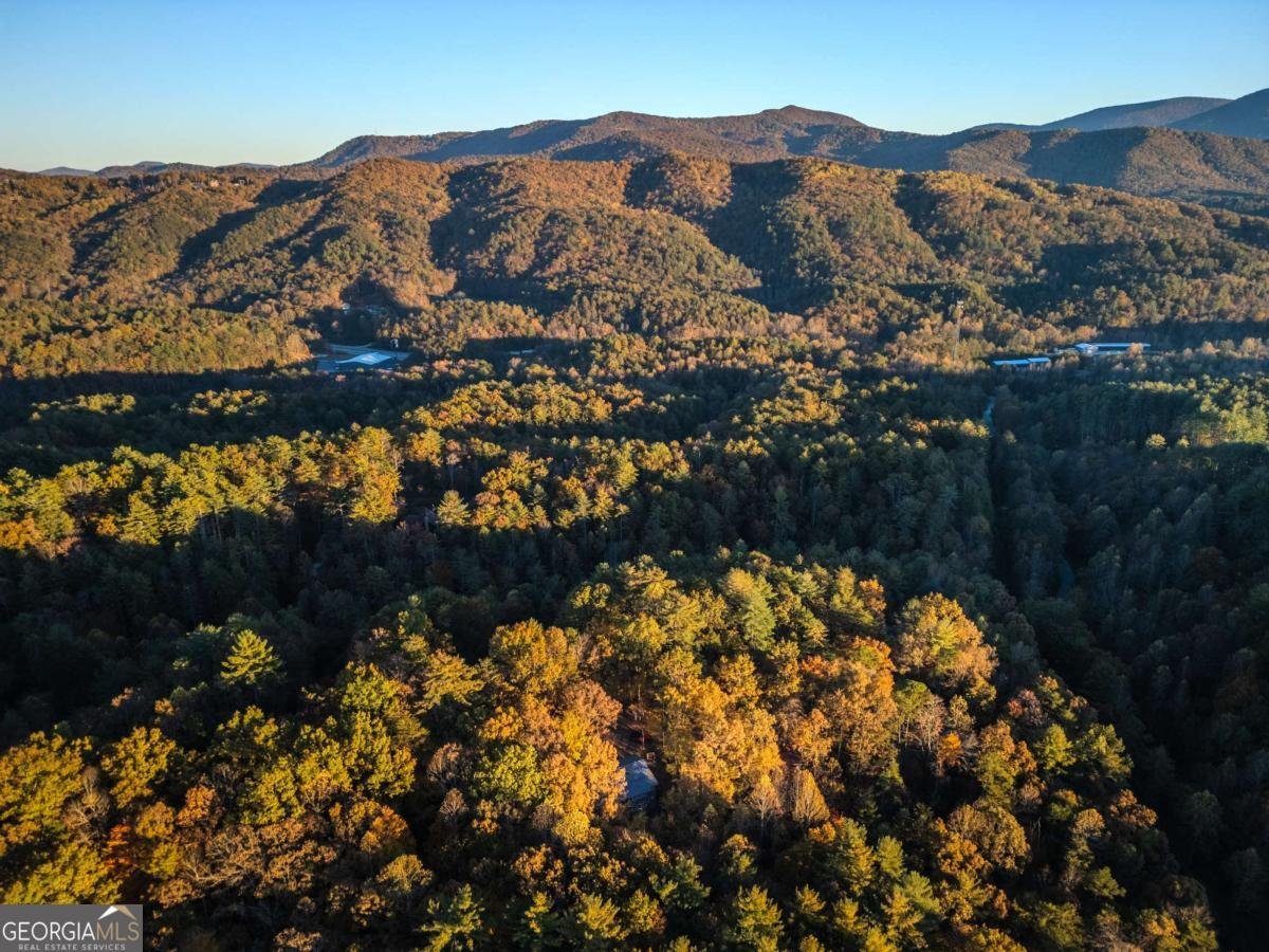 210 Overbend Trail Blue Ridge - 37