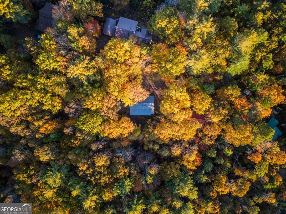 210 Overbend Trail Blue Ridge - 66