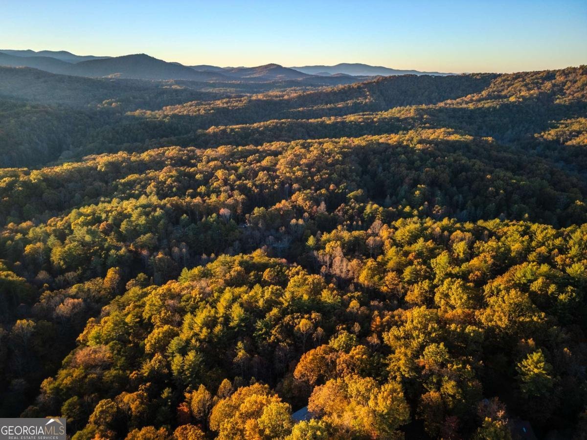 210 Overbend Trail Blue Ridge - 67