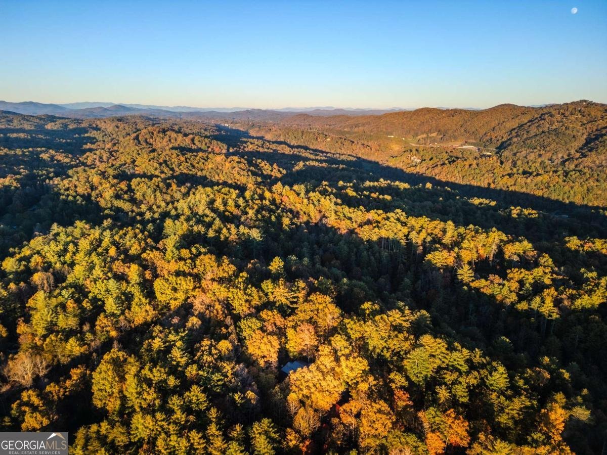 210 Overbend Trail Blue Ridge - 69