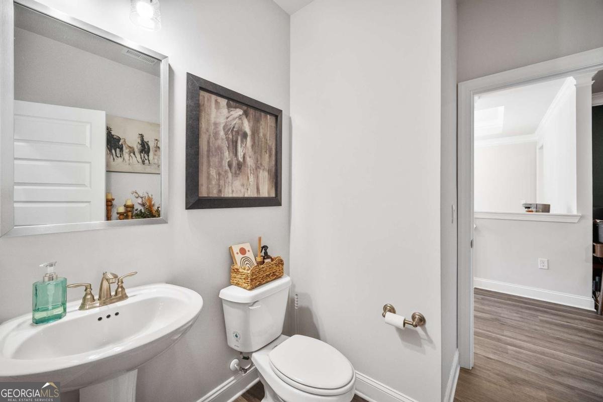 5862 Bay View Drive Buford - 27