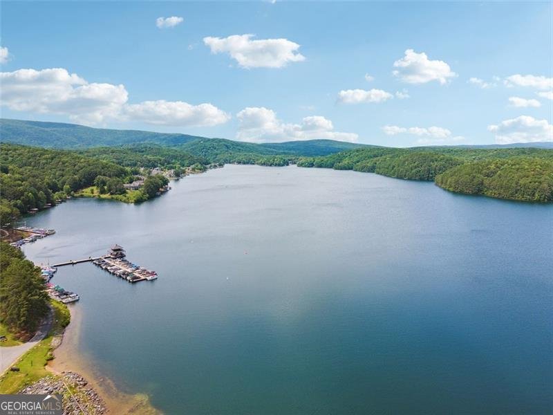 114 MINK Court Waleska - 31