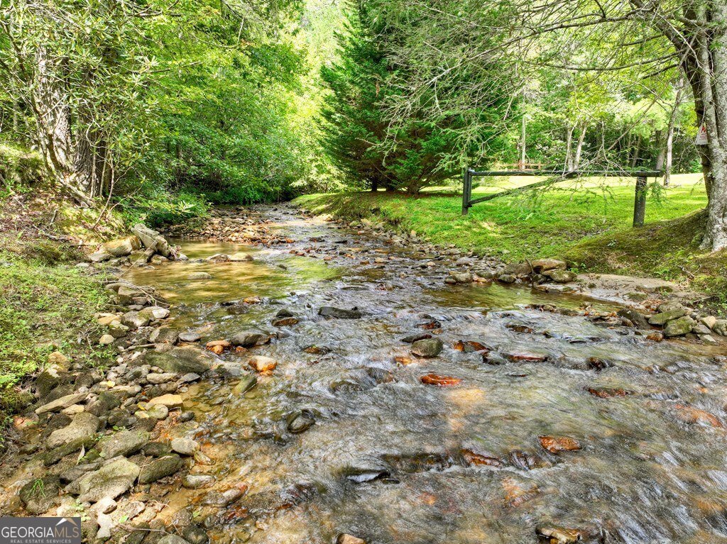 656 Newberry Drive Ellijay - 42