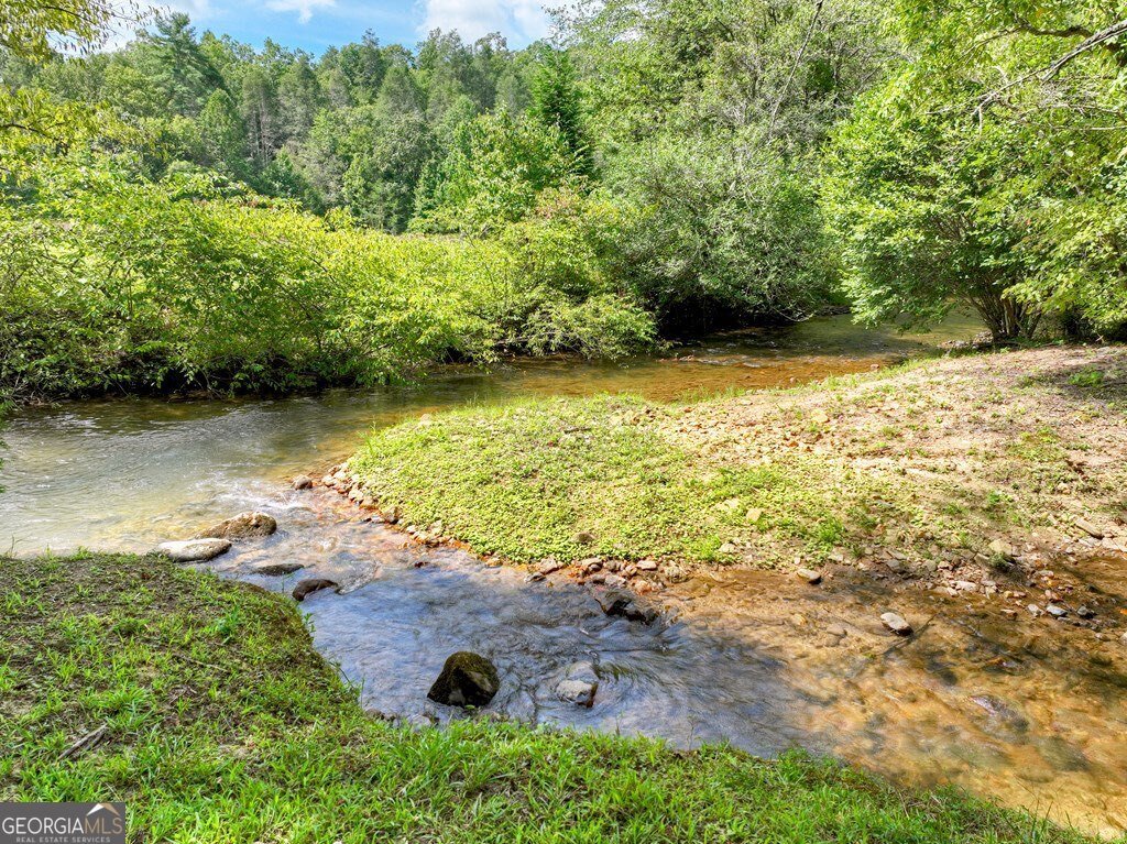 656 Newberry Drive Ellijay - 43