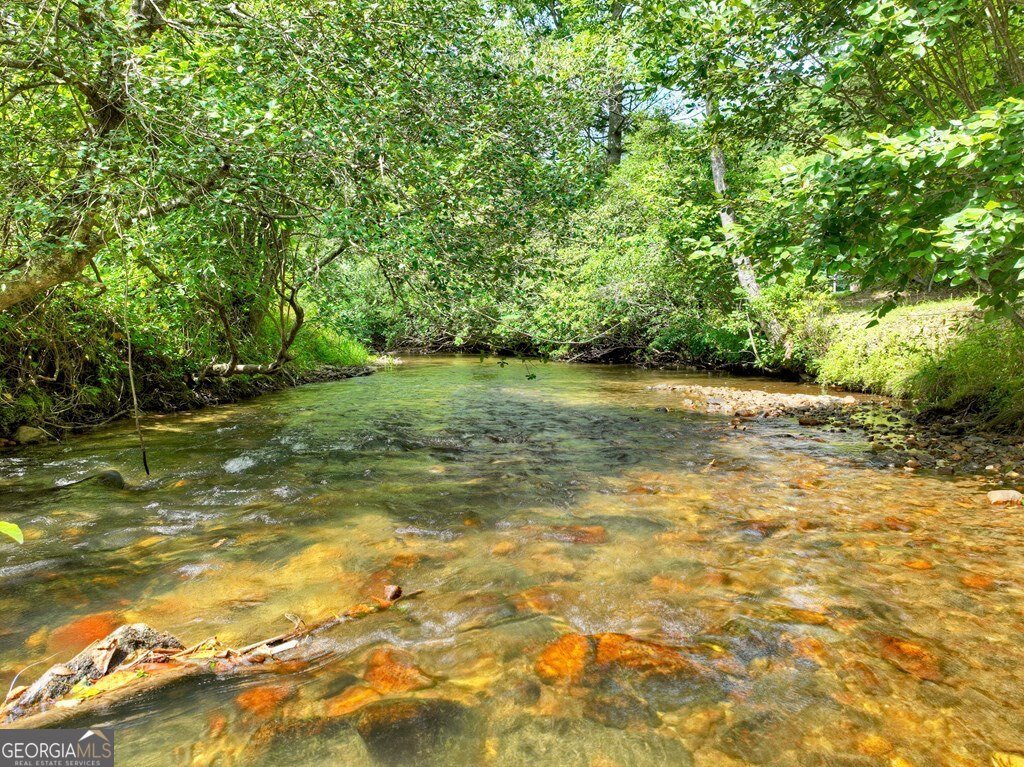 656 Newberry Drive Ellijay - 44