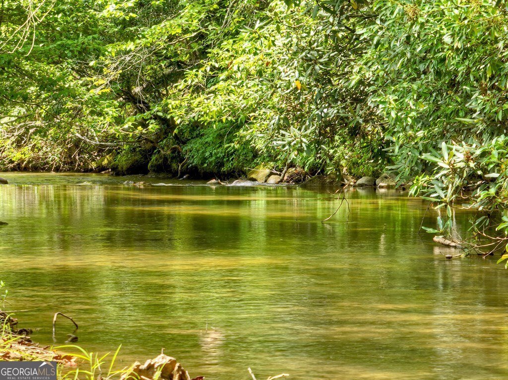 656 Newberry Drive Ellijay - 45