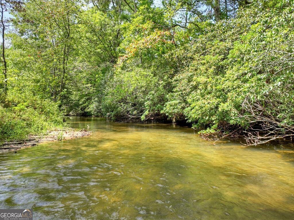 656 Newberry Drive Ellijay - 46