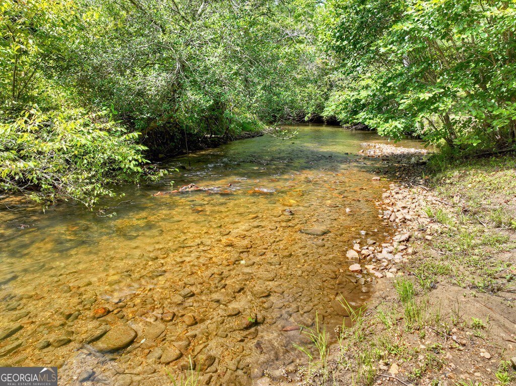 656 Newberry Drive Ellijay - 47