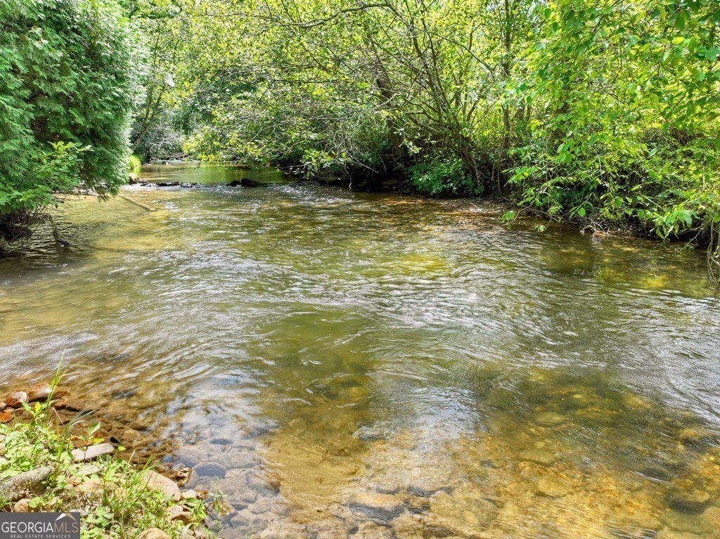 656 Newberry Drive Ellijay - 48