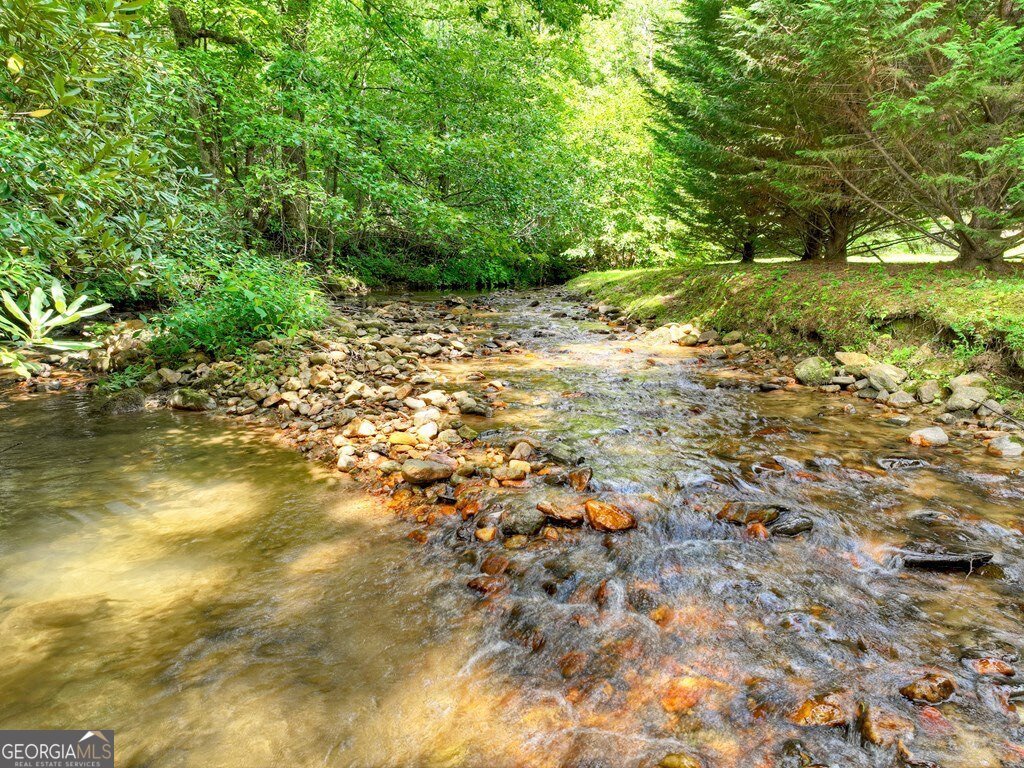 656 Newberry Drive Ellijay - 49