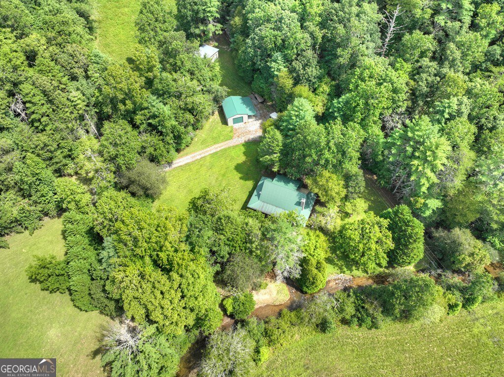 656 Newberry Drive Ellijay - 51