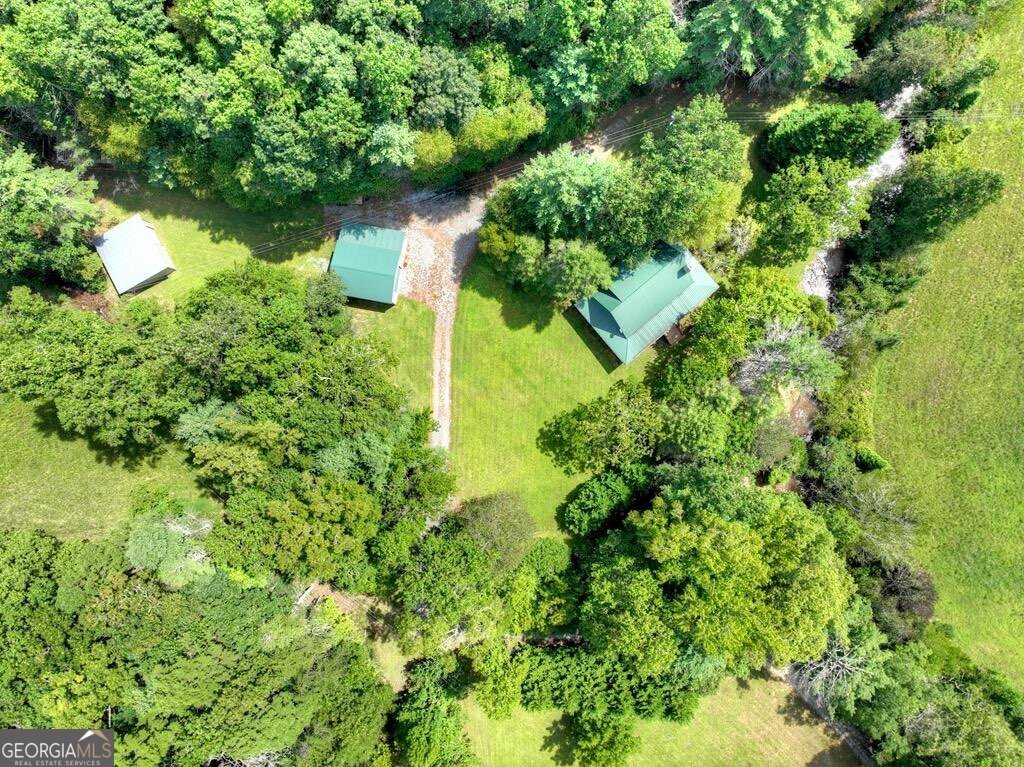 656 Newberry Drive Ellijay - 52