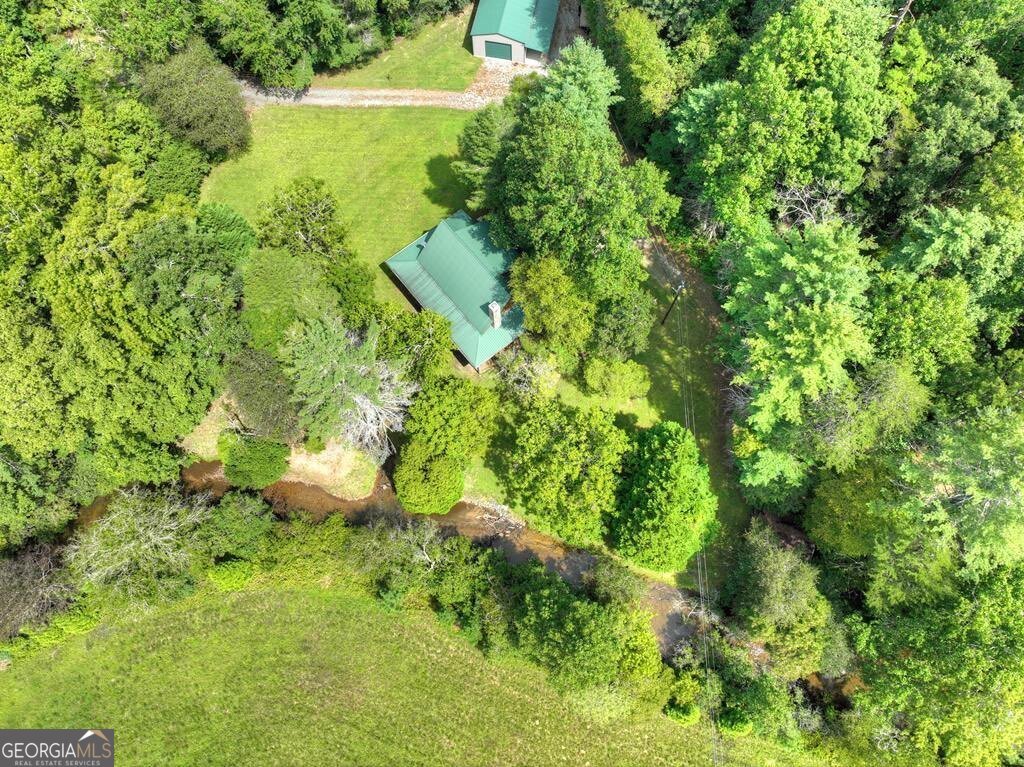 656 Newberry Drive Ellijay - 53
