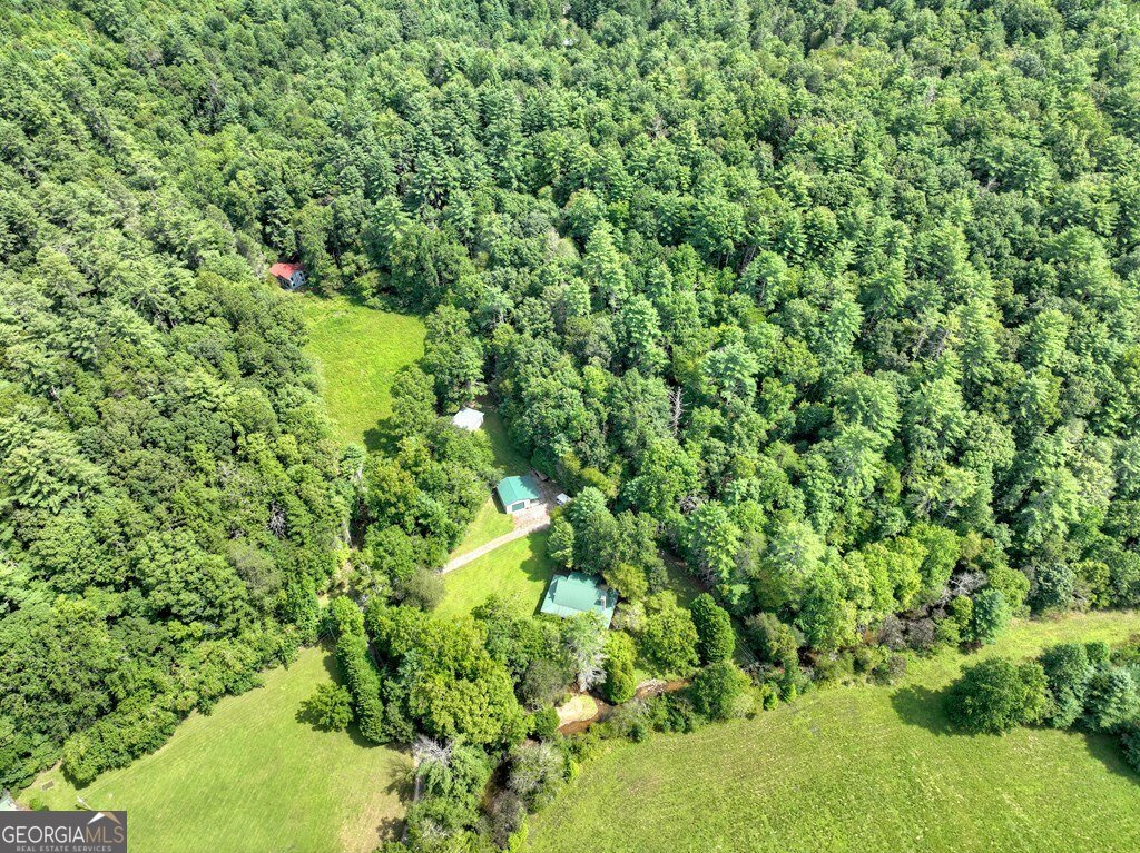 656 Newberry Drive Ellijay - 54