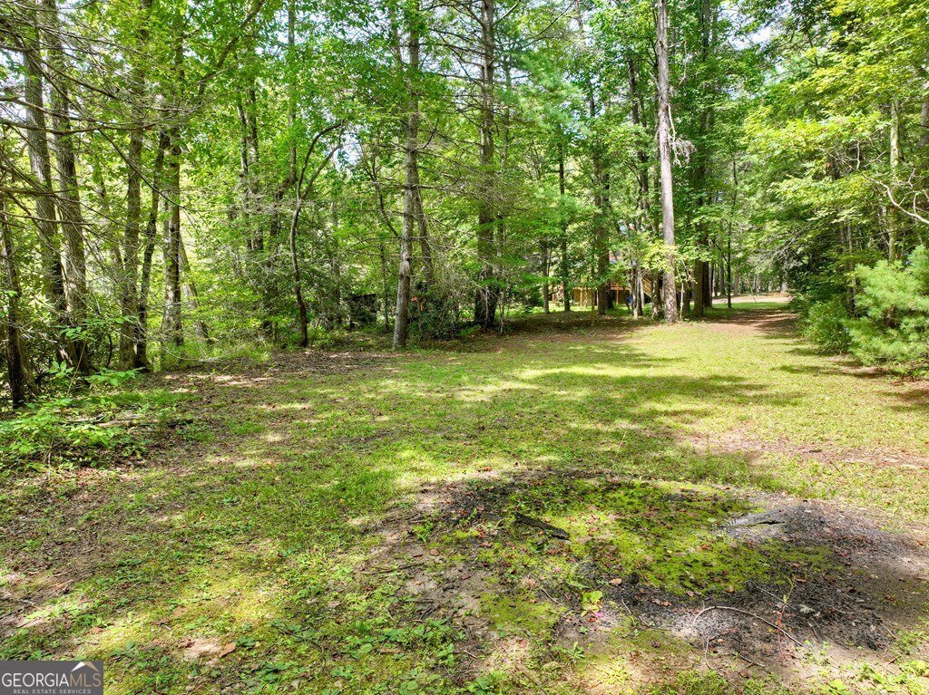 656 Newberry Drive Ellijay - 55