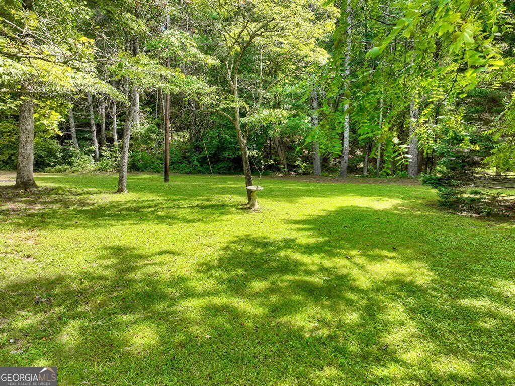 656 Newberry Drive Ellijay - 57