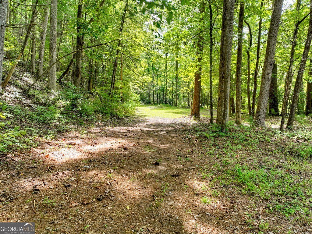 656 Newberry Drive Ellijay - 58