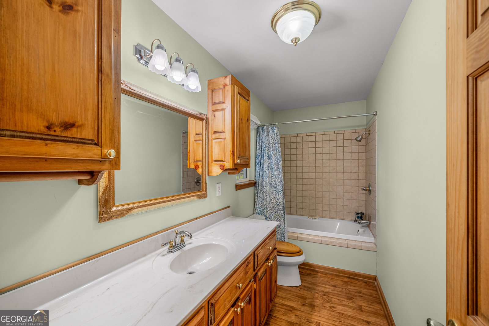 1516 Fish Hatchery Road Summerville - 19