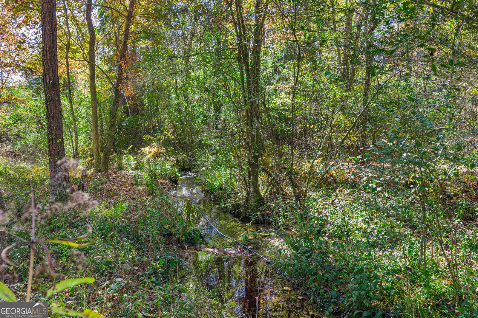 1516 Fish Hatchery Road Summerville - 49