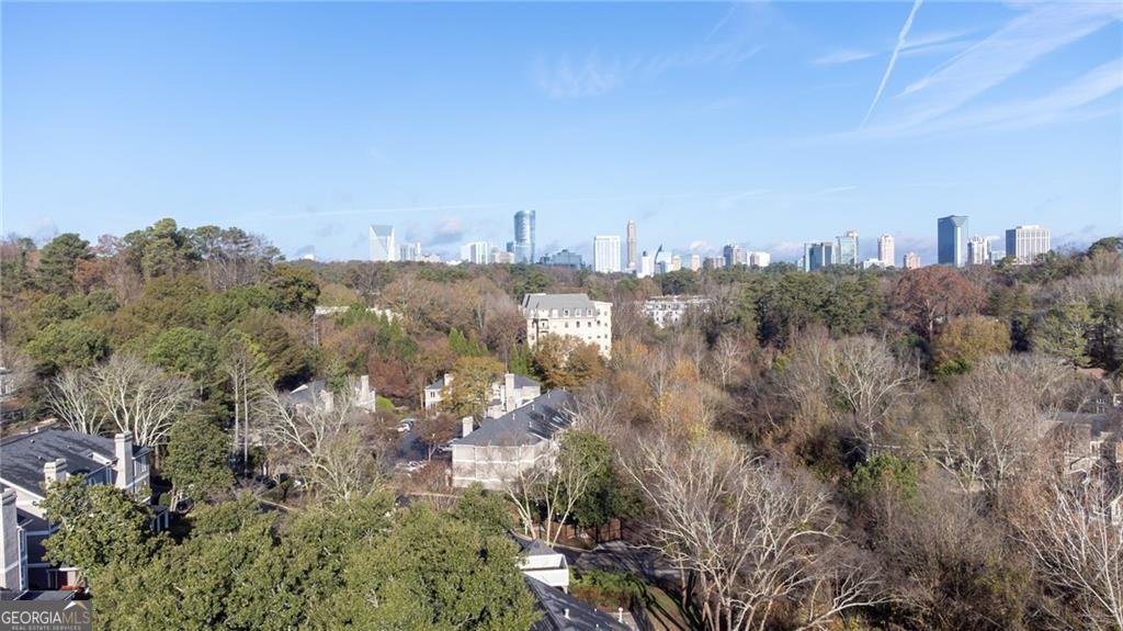 45 St. Claire Lane Atlanta - 3