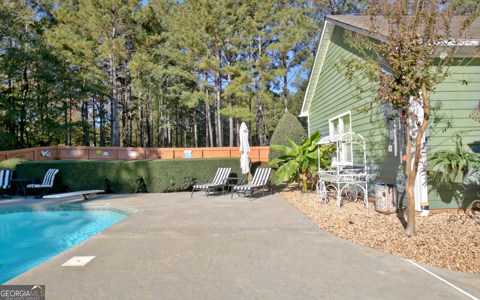 25 Carriage Lane Senoia - 14