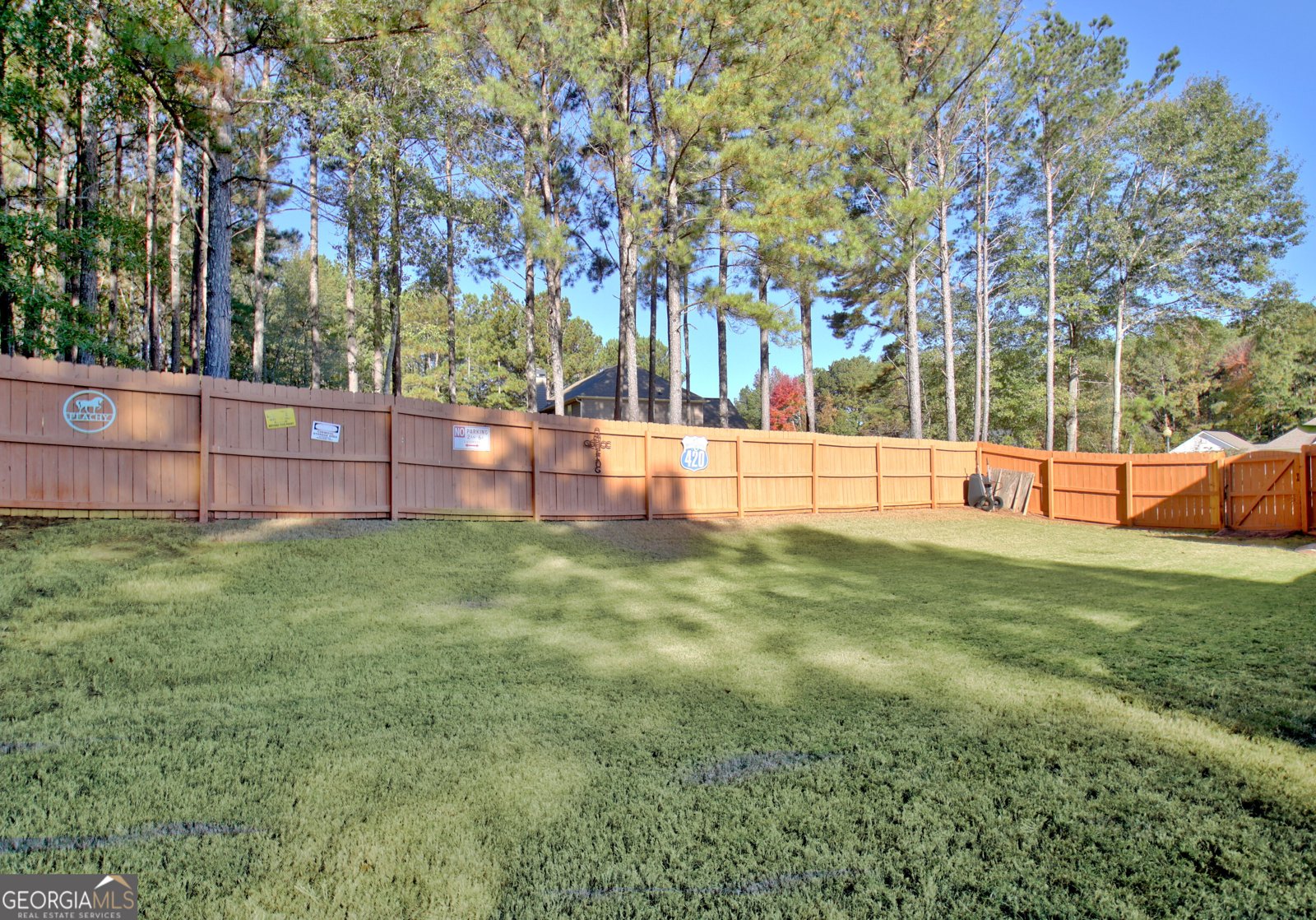 25 Carriage Lane Senoia - 21