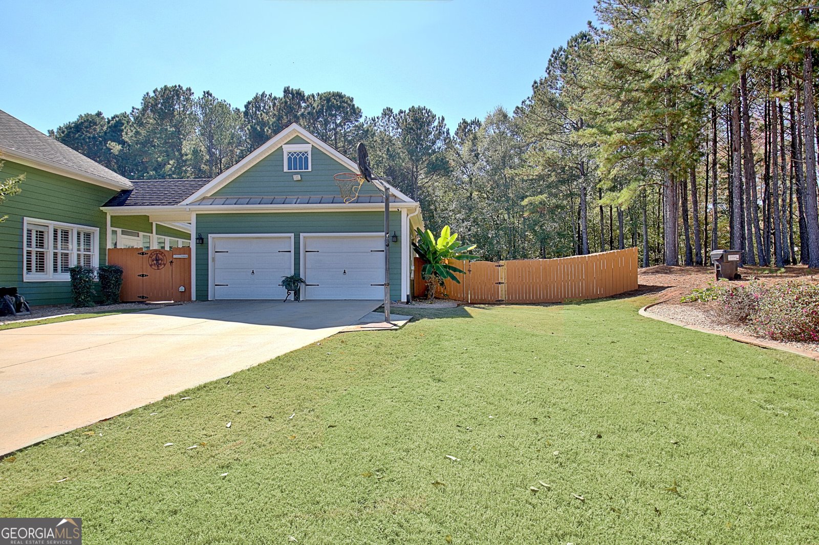 25 Carriage Lane Senoia - 25