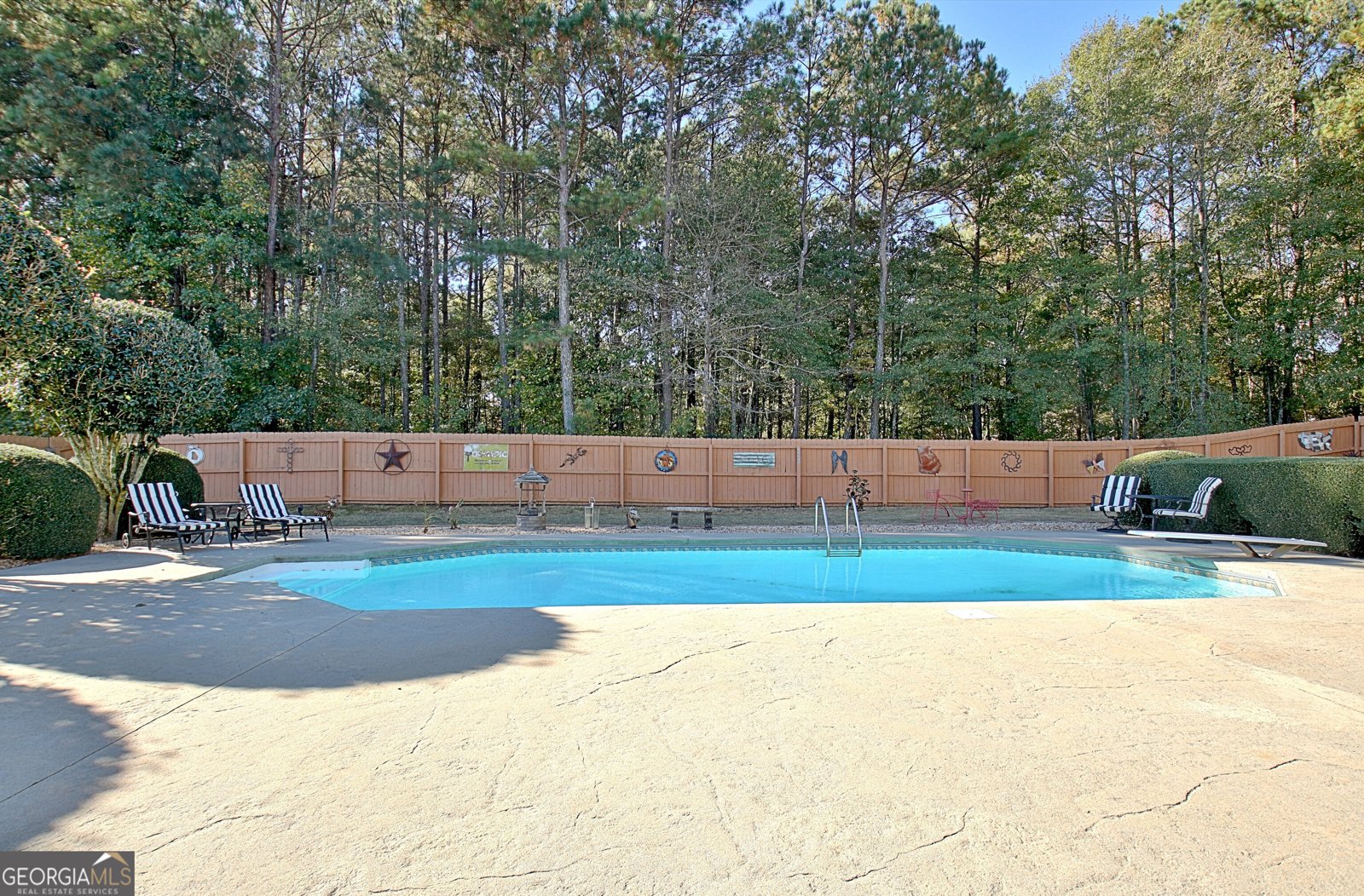 25 Carriage Lane Senoia - 52