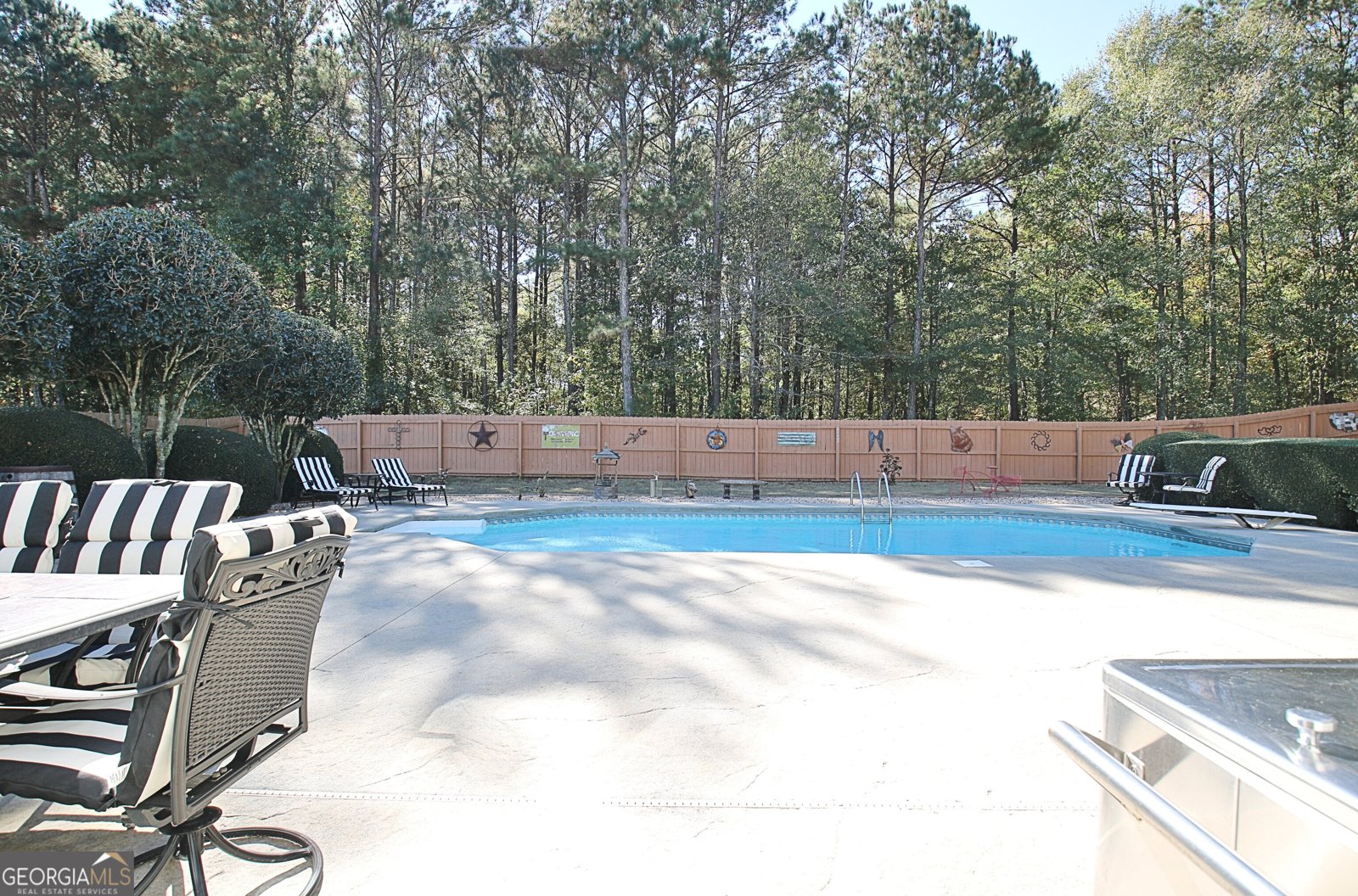 25 Carriage Lane Senoia - 53