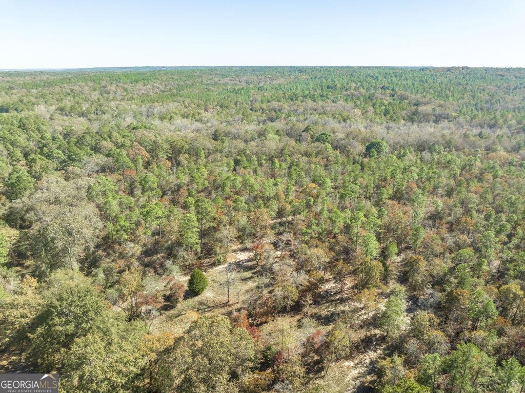 2574 Lower Hartley Bridge Road Byron - 37