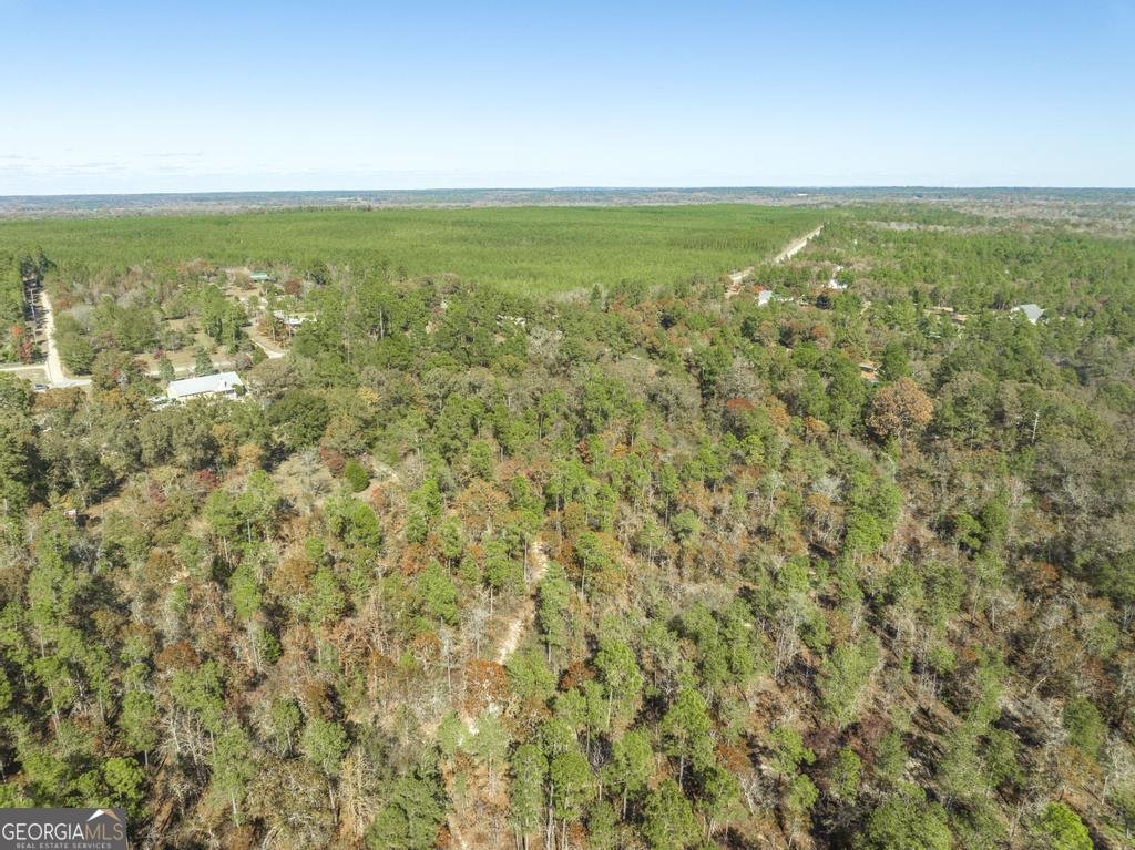 2574 Lower Hartley Bridge Road Byron - 38