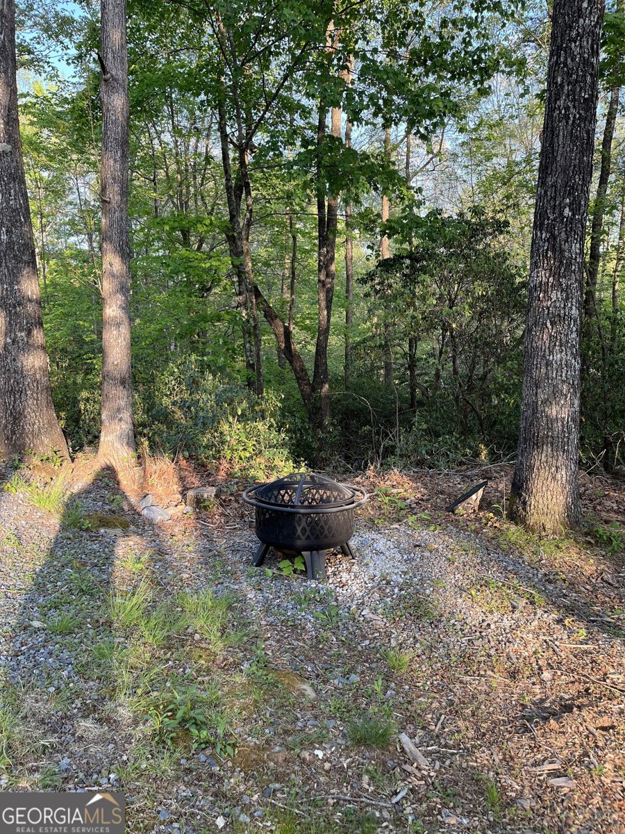 348 Cherry Lake Drive Blue Ridge - 16