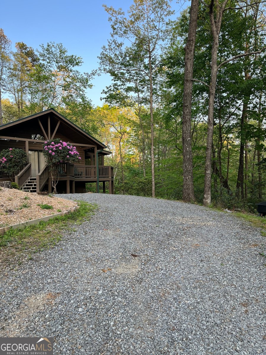 348 Cherry Lake Drive Blue Ridge - 2