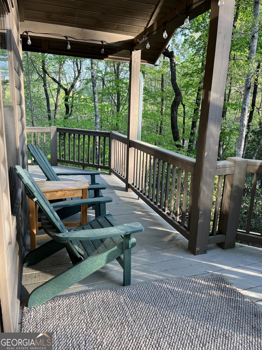 348 Cherry Lake Drive Blue Ridge - 4