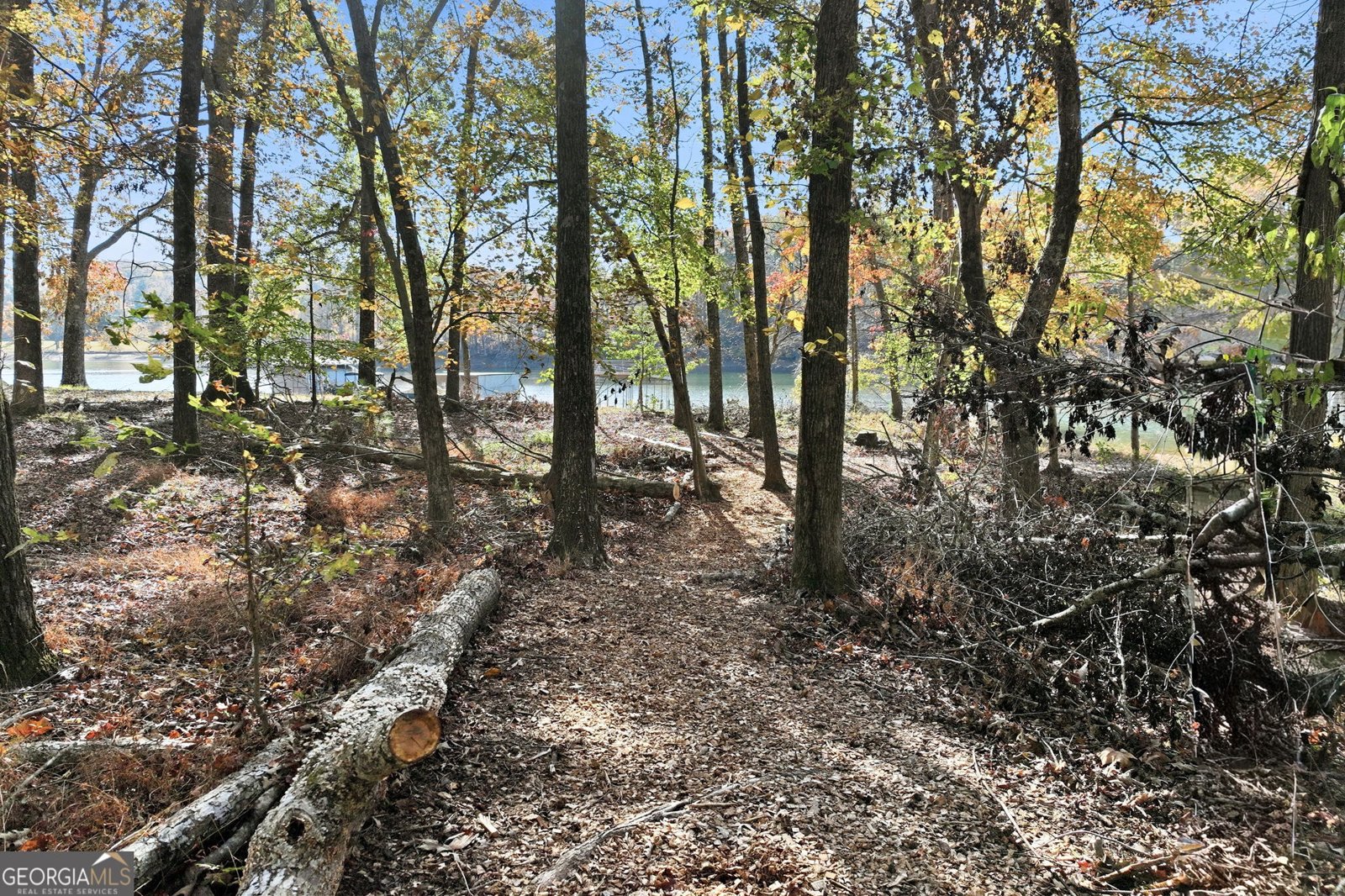 3610 Schofield Road Gainesville - 12