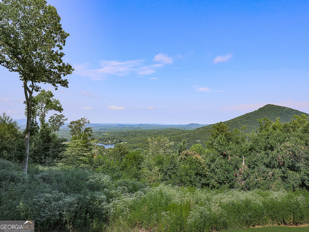 617 Crippled Oak Trail Jasper - 46