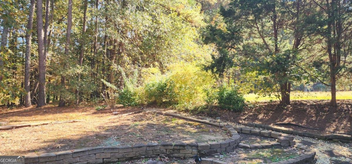 211 Brooks Lane Winder - 24