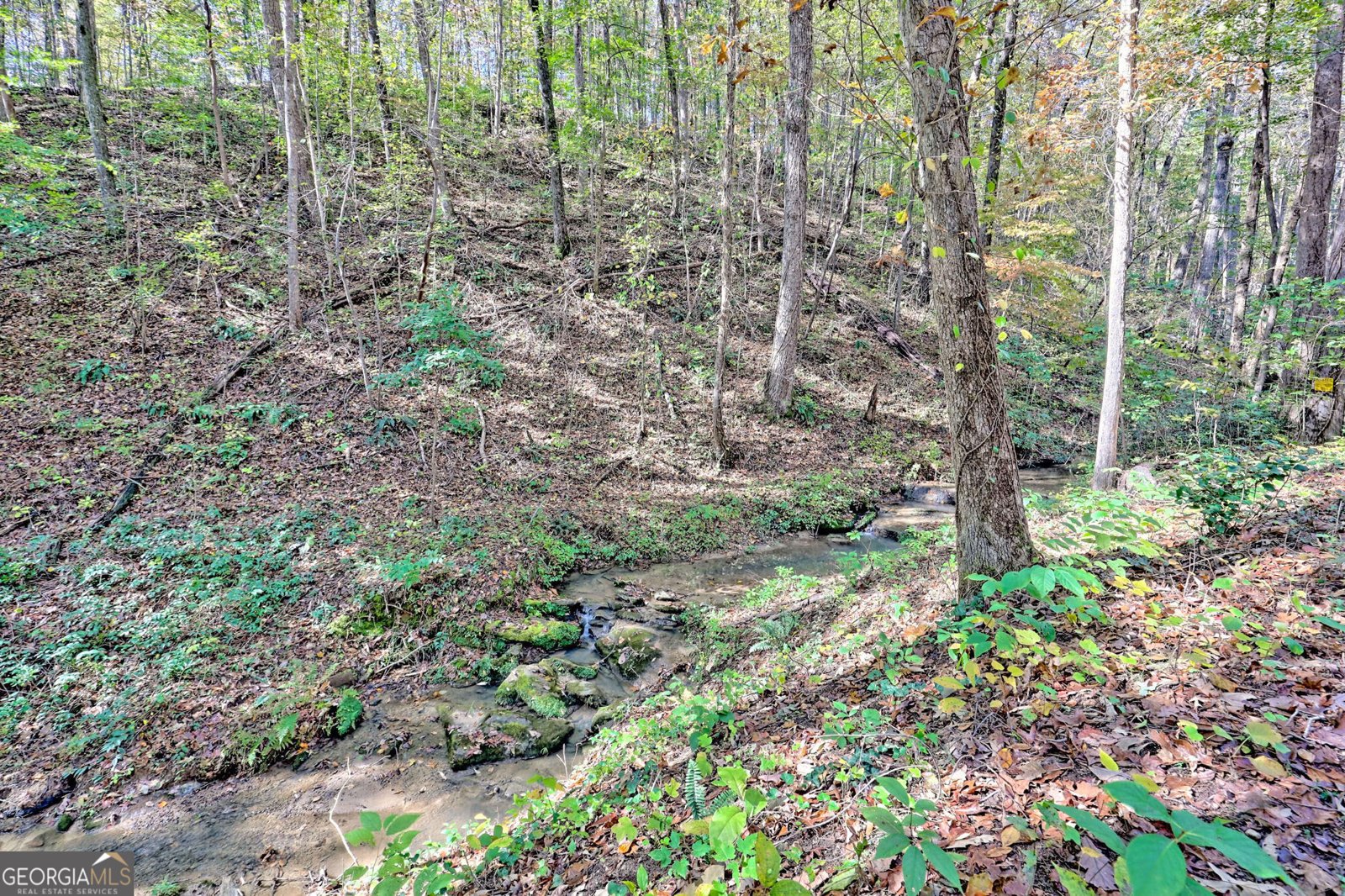 2146 Bend N Hickory Road Toccoa - 29