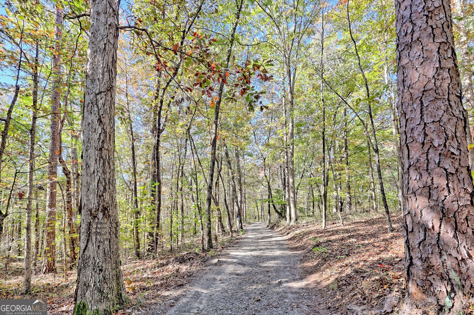 2146 Bend N Hickory Road Toccoa - 32