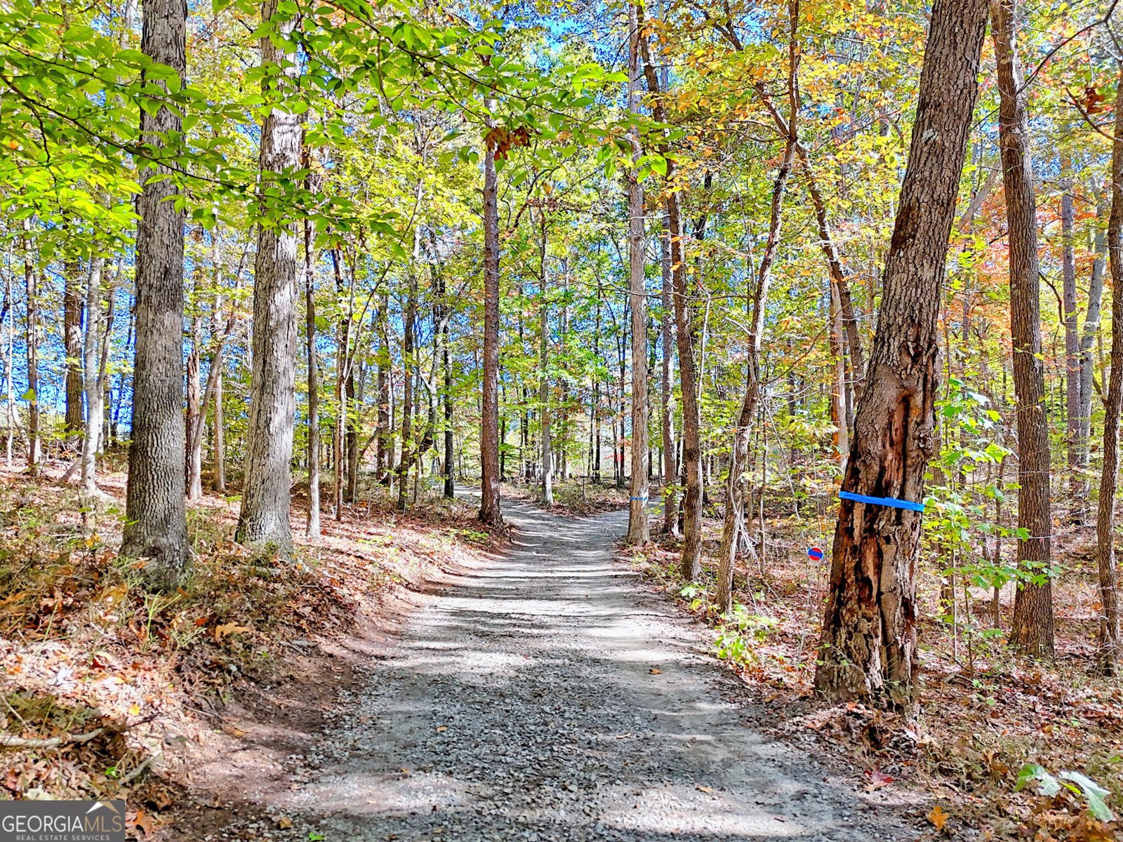 2146 Bend N Hickory Road Toccoa - 33