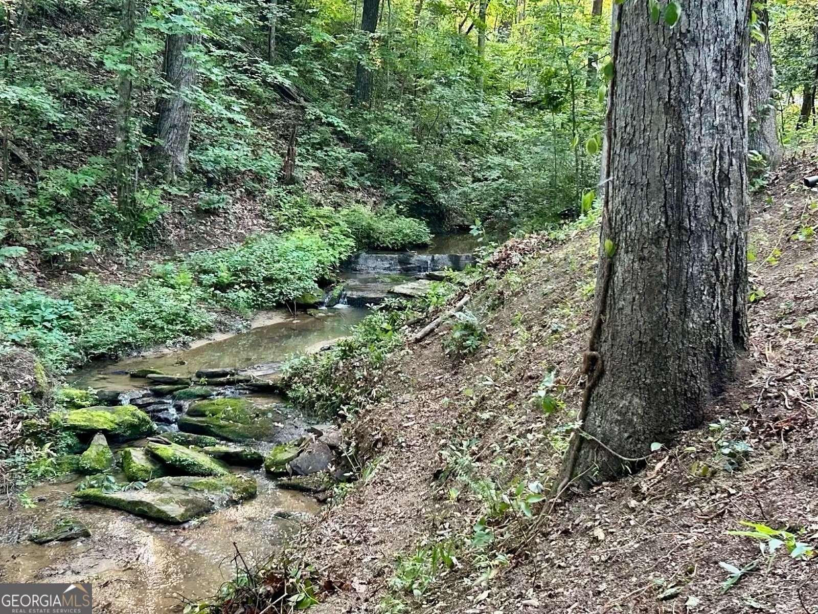 2146 Bend N Hickory Road Toccoa - 35