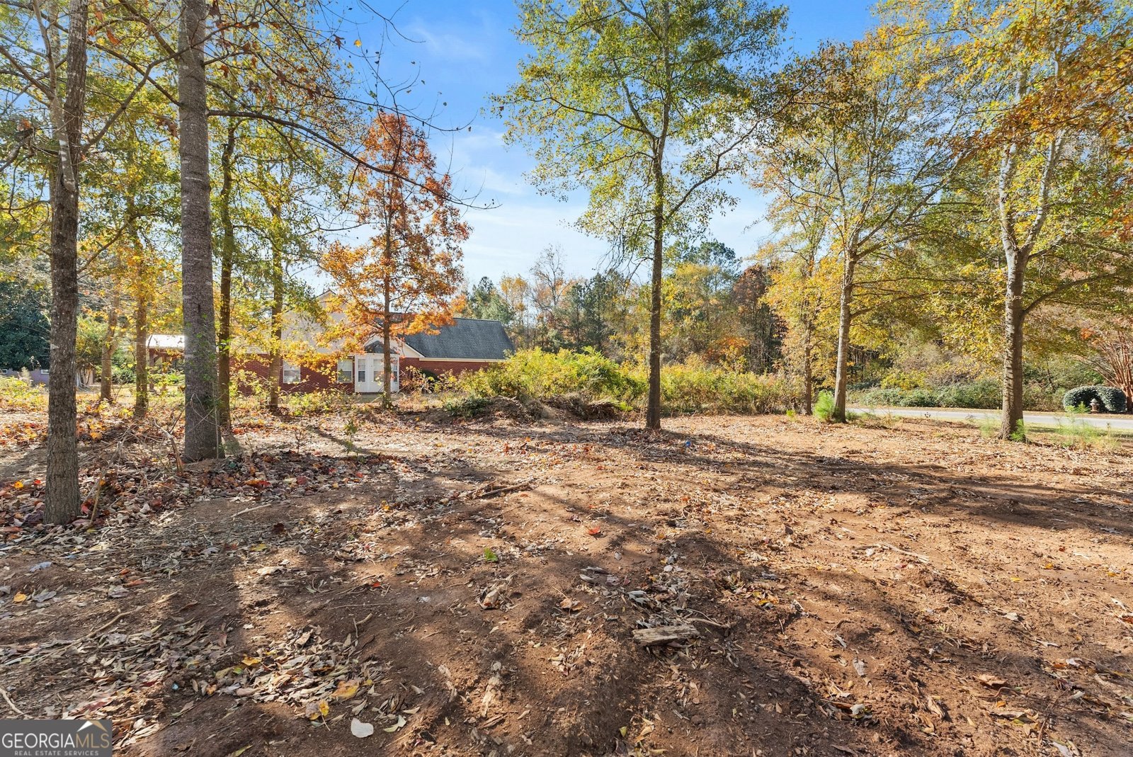 6228 Rock Port Drive Flowery Branch - 37