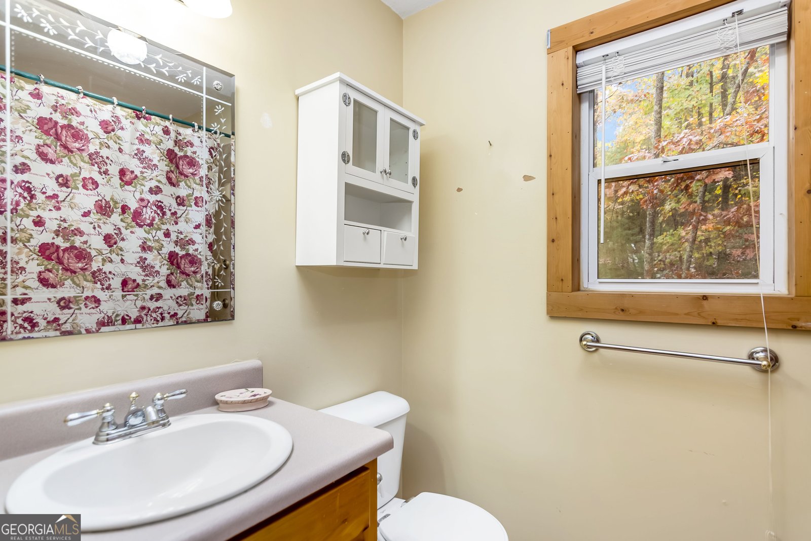 113 Justa Road Blairsville - 19