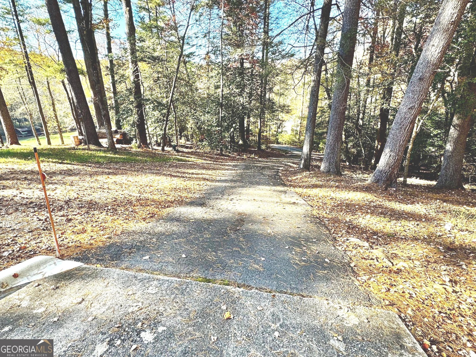 687 Nimblewill Creek Road Dahlonega - 17