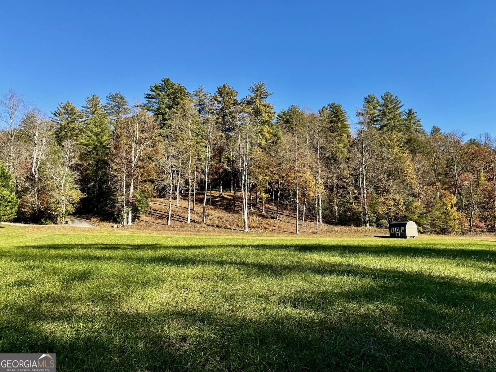 687 Nimblewill Creek Road Dahlonega - 2