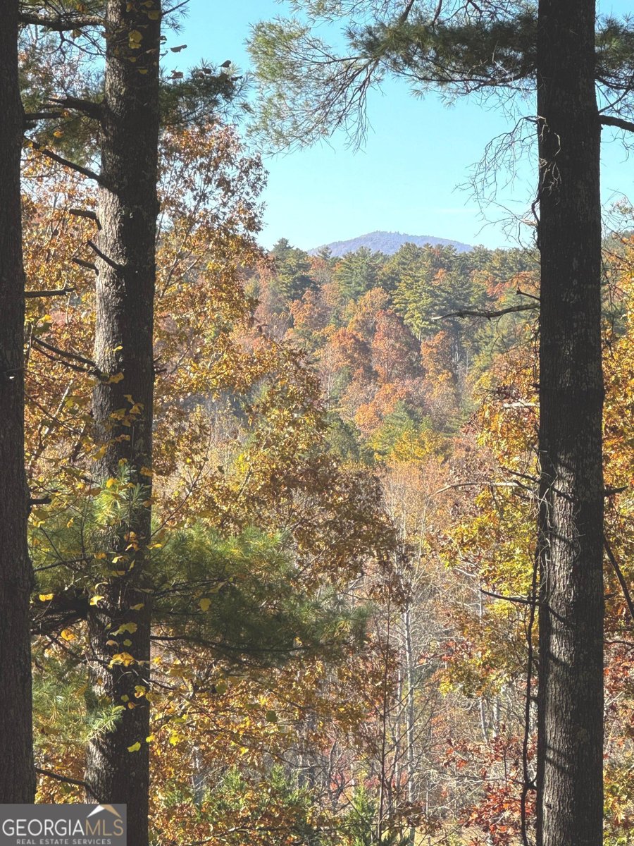 687 Nimblewill Creek Road Dahlonega - 29