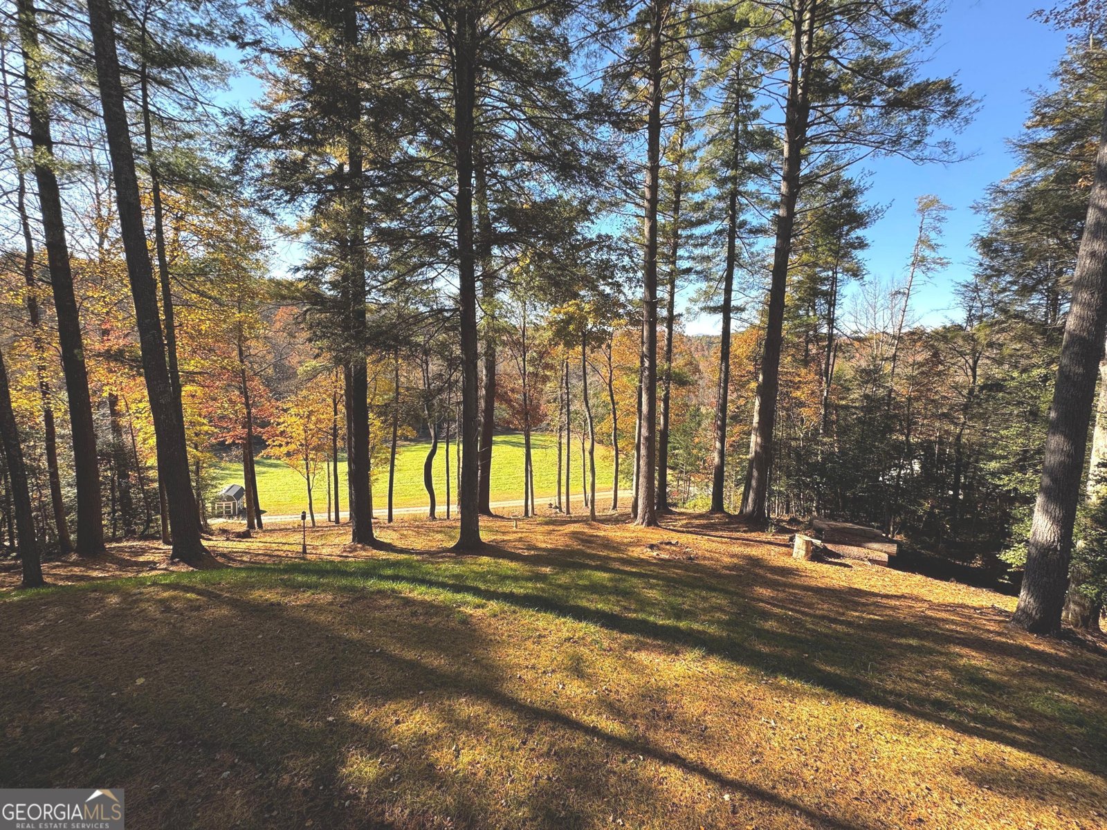 687 Nimblewill Creek Road Dahlonega - 31