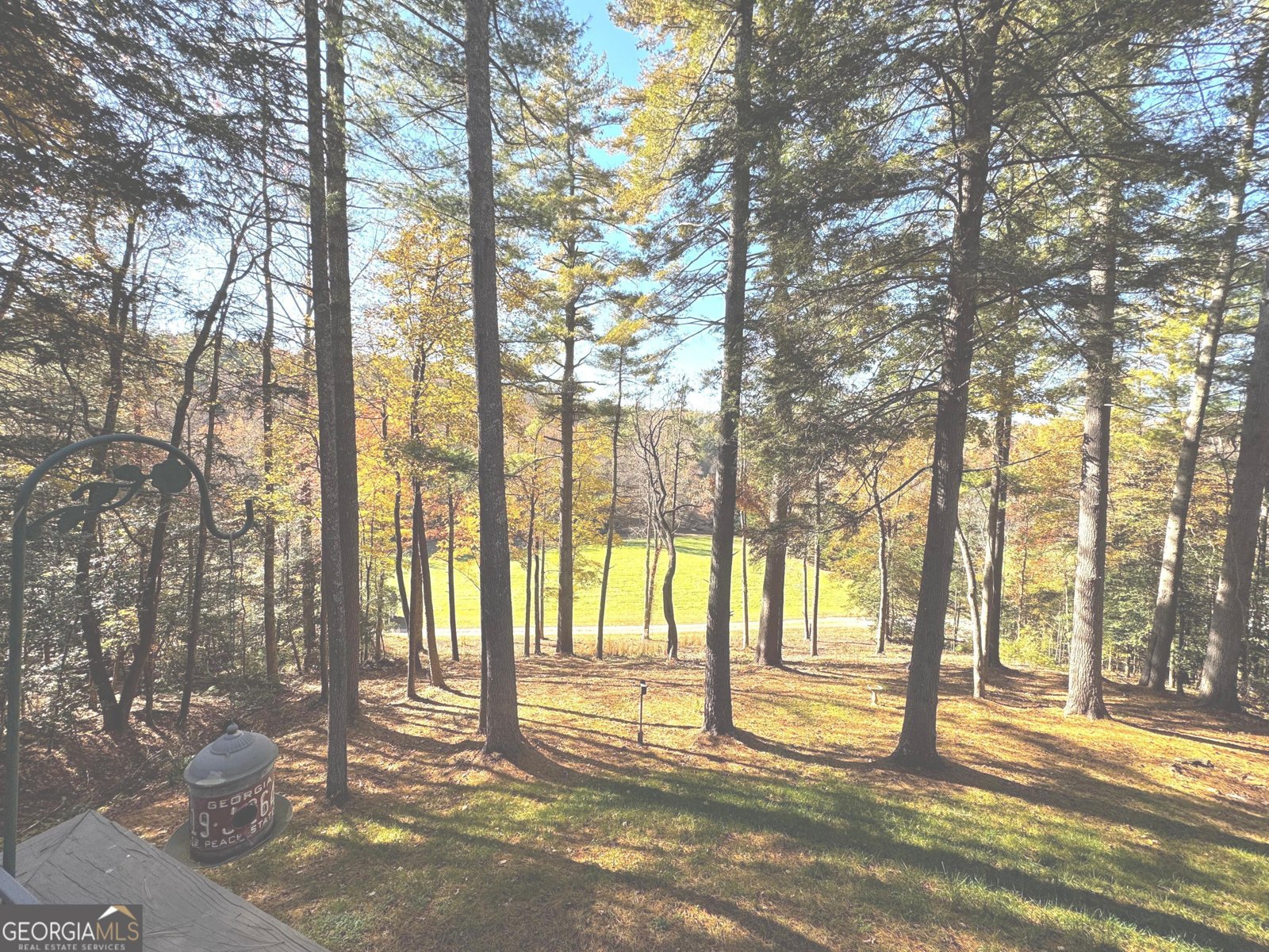 687 Nimblewill Creek Road Dahlonega - 36